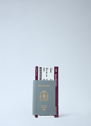 Balenciaga Passport Long Wallet Grey bal0161029