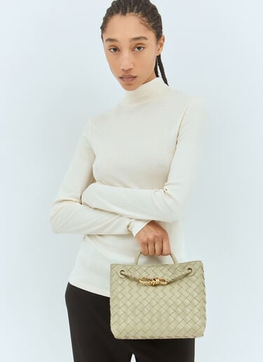 Bottega Veneta 小号 Andiamo 手提包 绿色 bov0257050
