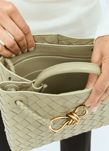 小号 Andiamo 手提包 Bottega Veneta 小号 Andiamo 手提包 绿色 bov0257050