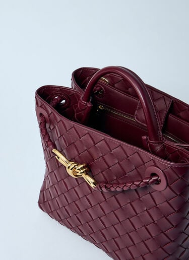 스몰 안디아모 핸드백 Bottega Veneta 스몰 안디아모 핸드백 버건디 bov0259030