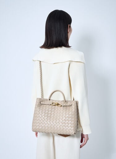 Medium Andiamo Handbag Bottega Veneta Medium Andiamo Handbag Beige bov0260014