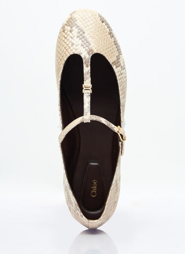 Chloé Marcie Ballerina Flats Beige chl0257031