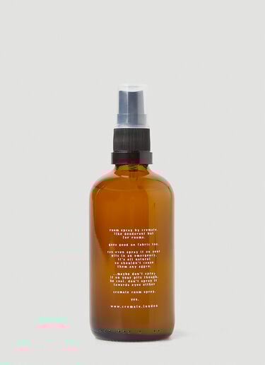 Mary Mother of God Room Spray Cremate Mary Mother of God Room Spray Brown crt0348004