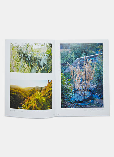Approach to Cannabis by Yusuke Suzuki Books Approach to Cannabis by Yusuke Suzuki Black dbn0505086