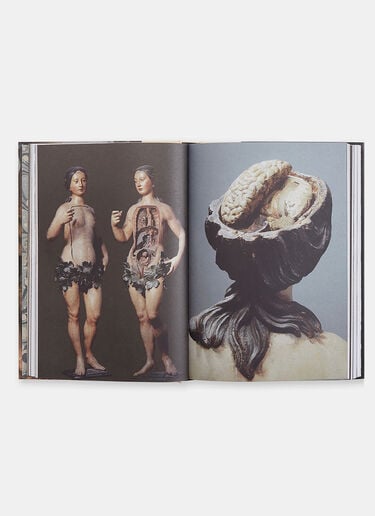 The Anatomical Venus by Joanna Ebenstein Books The Anatomical Venus by Joanna Ebenstein Black dbn0505092
