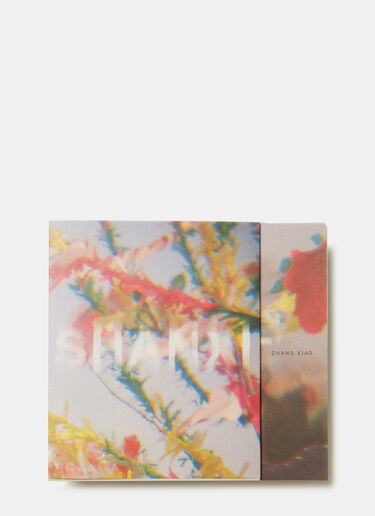 Shanxi Books Shanxi Black dbn0590034