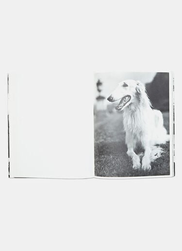 Bruce Weber Treville 1991 Books Bruce Weber Treville 1991 Black dbr0505090