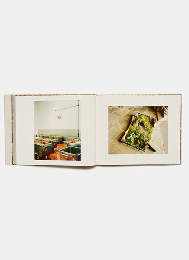 Something Like A Nest - Andy S Books Something Like A Nest - Andy S Black don0590110