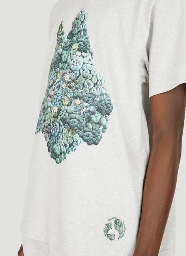 Big Dog T-Shirt Ecosystem x DRx Big Dog T-Shirt Grey eco0149001