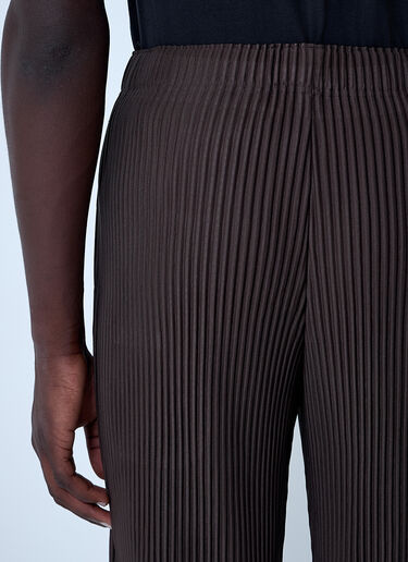 Homme Plissé Issey Miyake Pleated Pants Brown hmp0161012