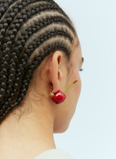 Les Boucles Cerise Earrings Jacquemus Les Boucles Cerise Earrings Red jac0254104