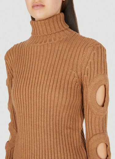 JW Anderson 컷아웃 슬리브 롤넥 스웨터 카멜 jwa0249022