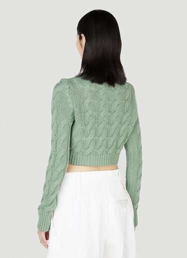 Max Mara 스핑크스 스웨터 Green max0252043