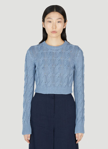 Sfinge Sweater Max Mara Sfinge Sweater Light Blue max0252044