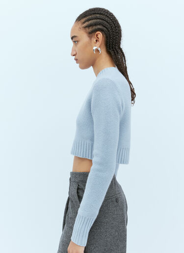 Max Mara 캐시미어 니트 크롭 스웨터 블루 max0254075