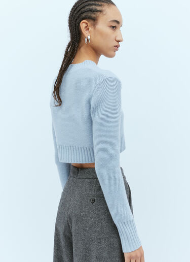 Max Mara 캐시미어 니트 크롭 스웨터 블루 max0254075