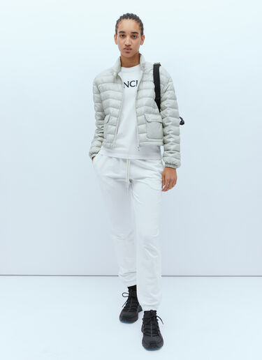 Moncler Morelans 短款羽绒服 灰色 mon0255010