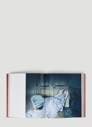 Phaidon Wonderland 米色 phd0553008