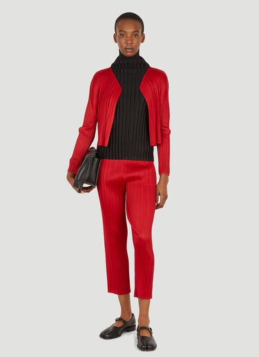 Pleats Please Issey Miyake 플리세 팬츠 레드 plp0251009