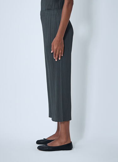 Pleated Pants Pleats Please Issey Miyake Pleated Pants Grey plp0261012