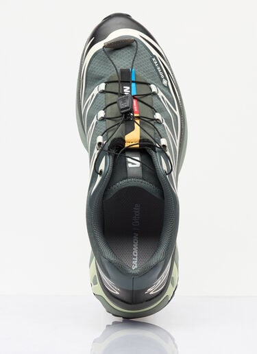 Salomon XT-6 GTX Sneakers Green sal0359004
