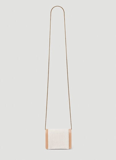 Saint Laurent Mini Gaby Shoulder Bag Beige sla0252068