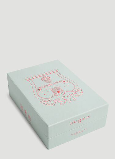 Ernesto Room Spray Trudon Ernesto Room Spray Green wps0644241