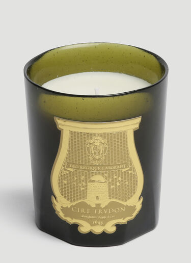 Trudon Spiritus Sancti Candle Green wps0644246