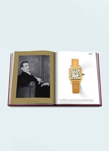 Assouline Cartier: The Impossible Collection Multicolour wps0691680