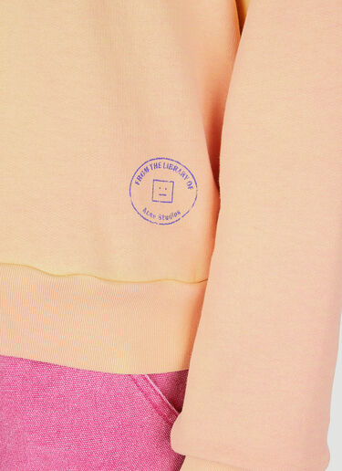 Heat Reactive 连帽运动衫 Acne Studios Heat Reactive 连帽运动衫 橙色 acn0351011