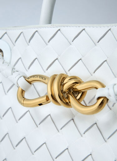 Small Andiamo Handbag Bottega Veneta Small Andiamo Handbag White bov0261034