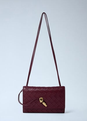 Bottega Veneta Andiamo Messenger Crossbody Bag Burgundy bov0262031