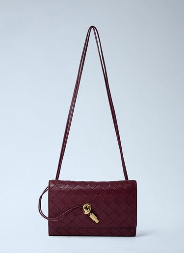 Andiamo Messenger Crossbody Bag Bottega Veneta Andiamo Messenger Crossbody Bag Burgundy bov0262031