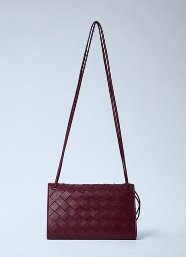 Andiamo Messenger Crossbody Bag Bottega Veneta Andiamo Messenger Crossbody Bag Burgundy bov0262031