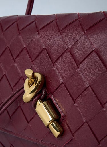 Andiamo Messenger Crossbody Bag Bottega Veneta Andiamo Messenger Crossbody Bag Burgundy bov0262031