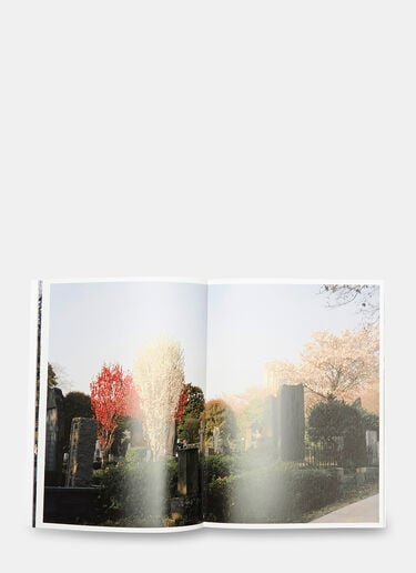 Hanami | Aoyama by Keith Ng Books Hanami | Aoyama by Keith Ng Black dbn0505126