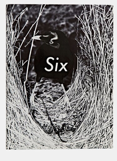 Books Six Magazine (Complete Set of Eight) - Comme des Garçons Black dbr0590013