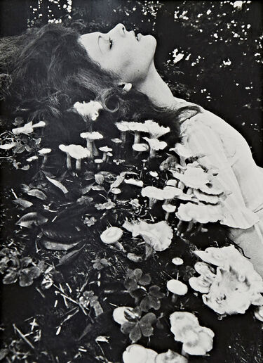 Emma - Shunji Okura Books Emma - Shunji Okura Black dbr0590021