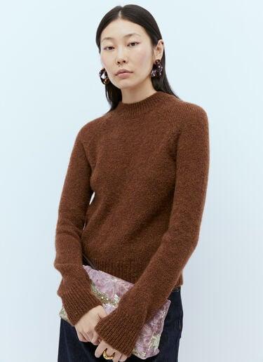 扭转缀饰吊式耳环 Dries Van Noten 扭转缀饰吊式耳环 紫色 dvn0254045