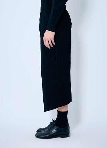 褶裥九分裤 Homme Plissé Issey Miyake 褶裥九分裤 黑色 hmp0159011