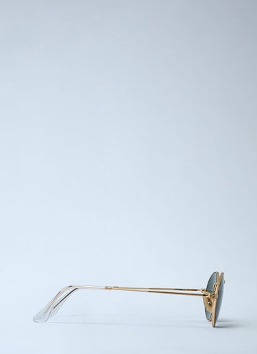 Oval Sunglasses Ray-Ban Oval Sunglasses Gold lrb0362006
