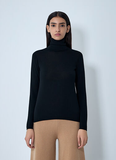 Wool Turtleneck Sweater Max Mara Wool Turtleneck Sweater Black max0262002