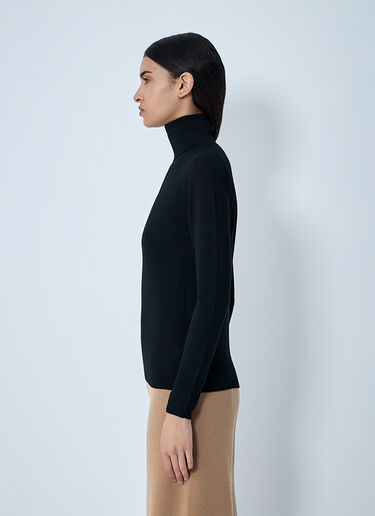 Wool Turtleneck Sweater Max Mara Wool Turtleneck Sweater Black max0262002