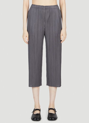 褶裥九分裤 Pleats Please Issey Miyake 褶裥九分裤 灰色 plp0253014
