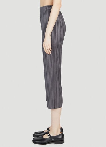 褶裥九分裤 Pleats Please Issey Miyake 褶裥九分裤 灰色 plp0253014