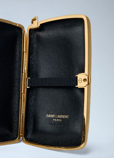 Minaudière Clutch Saint Laurent Minaudière Clutch Brown sla0261111