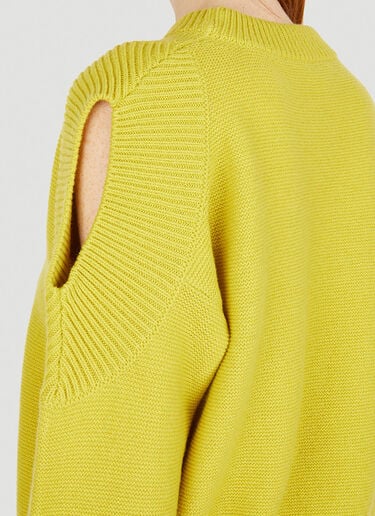 재생 컷아웃 스웨터 Stella McCartney 재생 컷아웃 스웨터 그린 stm0251003