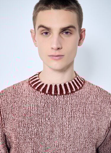 Coated Sweater Stone Island Coated Sweater Red sto0160038