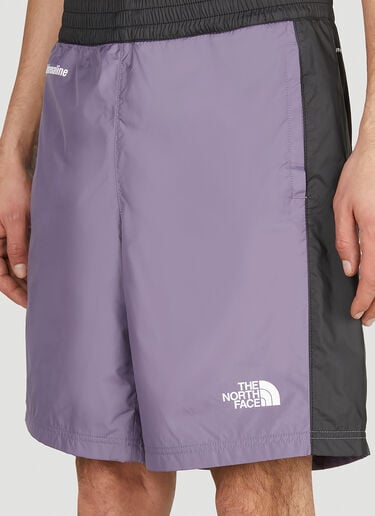 Hydrenaline 短裤 The North Face Hydrenaline 短裤 紫色 tnf0152013