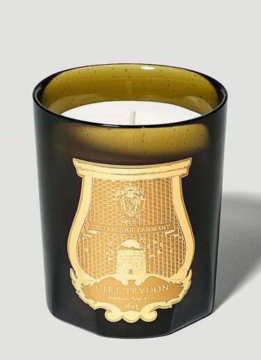 Trudon Mademoiselle La Vallerie Candle Green wps0644242